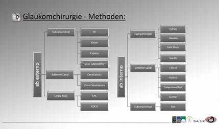 Modul Bild Vorderabschnitt Trockenes Auge und Glaukom at targolearn