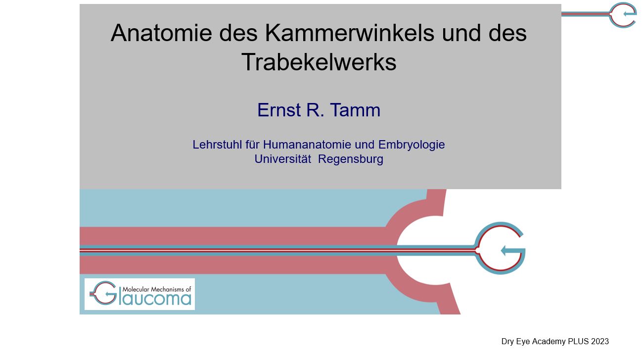 Modul Prof. Tamm